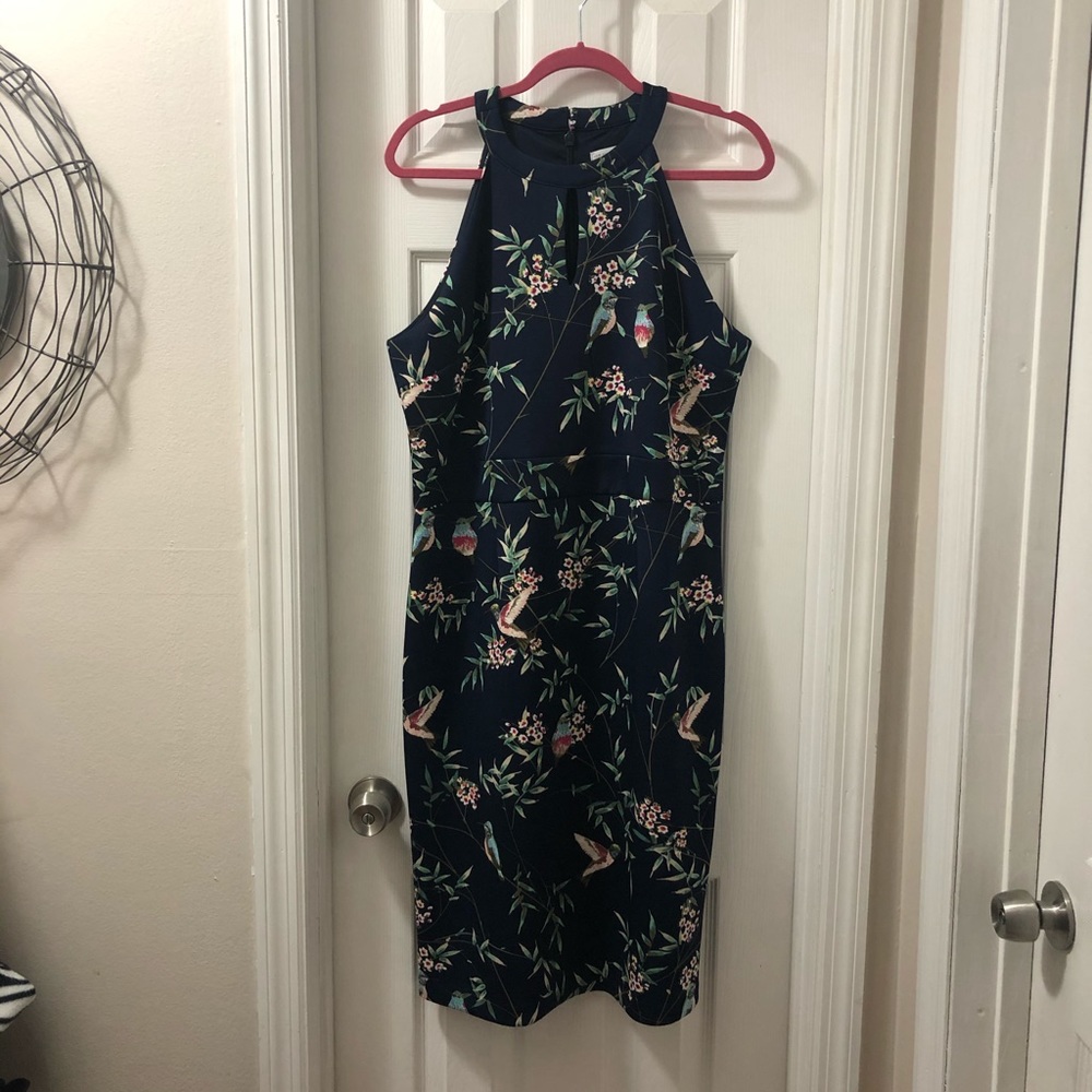 Navel Blue beautiful Dress